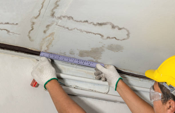 Reliable Water Removal contractor in Orem, UT by Water Damage Irwin